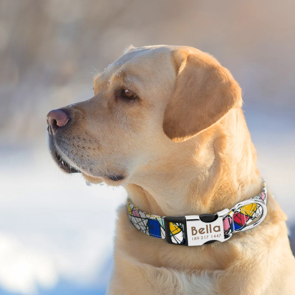 Chien portant un collier personnalisé en nylon imprimé avec prénom Bella.