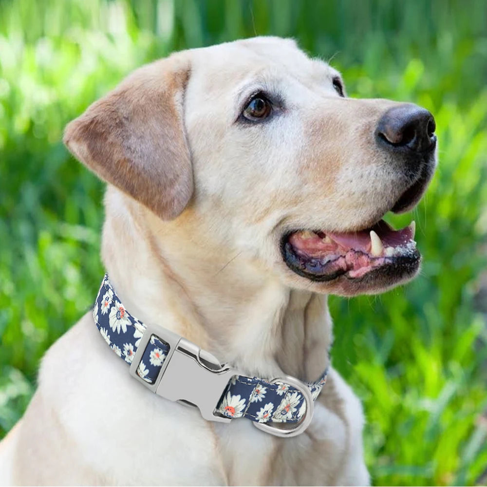 collier-chien-personnalise-vue-portee-floral-bleu
