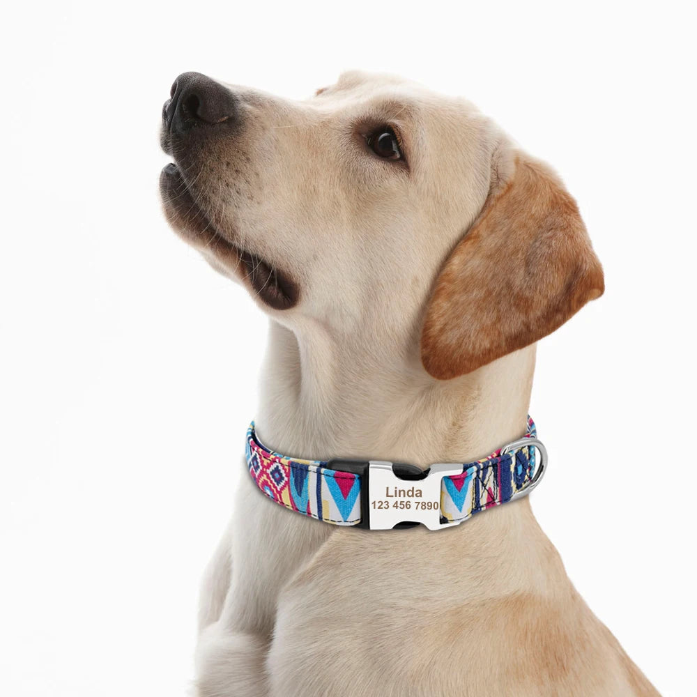 Chien portant un collier personnalisé en nylon imprimé avec prénom Linda.