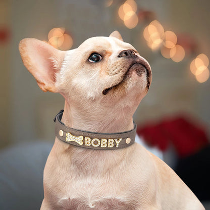 Vue portée du collier pour chien coloris marron avec lettres décoratives Bobby.