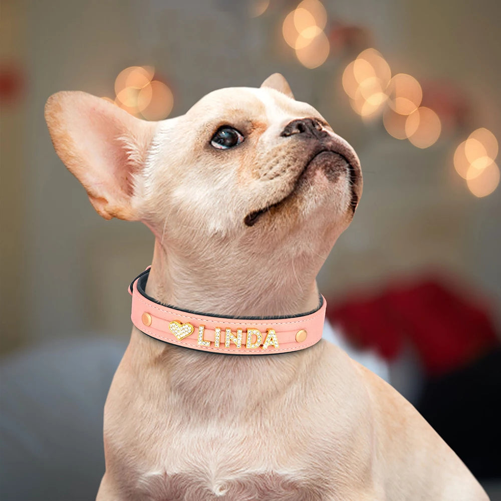 Chien portant un collier personnalisé rose avec le prénom Linda.