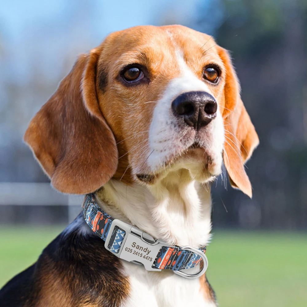 Chien portant un collier personnalisé en nylon imprimé avec prénom Sandy.