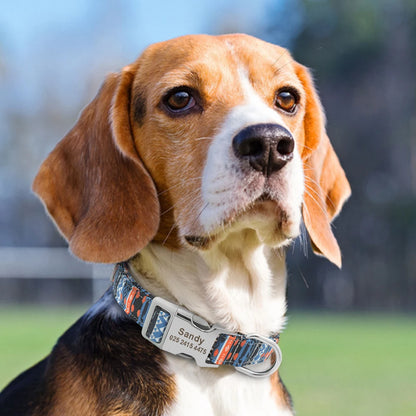 Chien portant un collier personnalisé en nylon imprimé avec prénom Sandy.