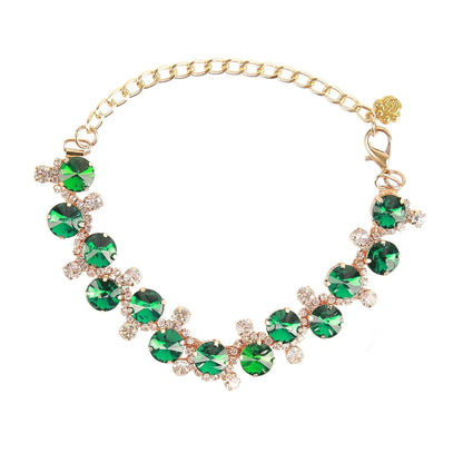 Collier pour chien sur chaîne dorée avec pierres vertes rondes et petits strass sur fond clair.