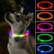 Chien gris avec collier lumineux coloré et plusieurs variantes à droite.