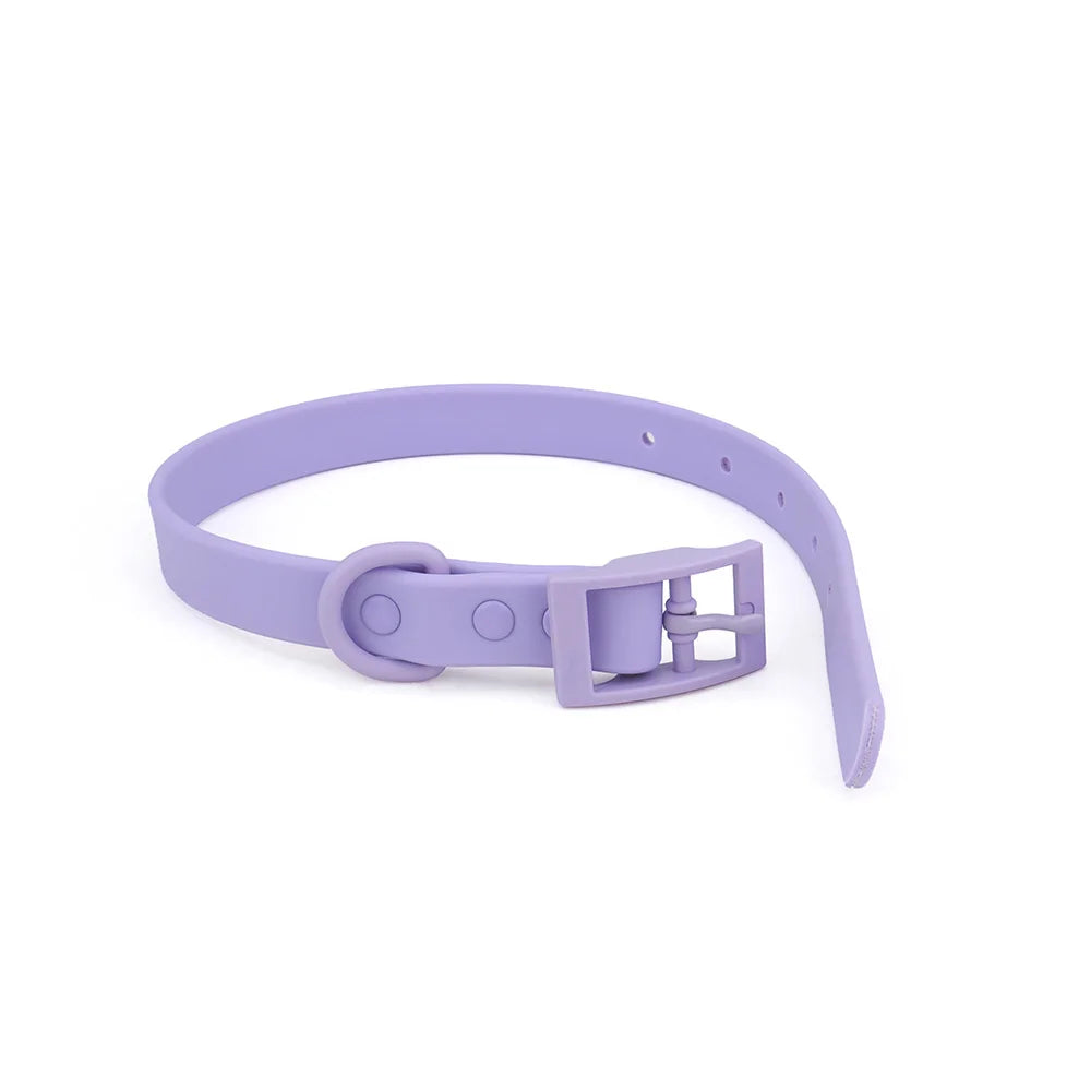 Collier pour chien en PVC imitation silicone lilas présenté déplié sur fond blanc, montrant la sangle avec trous de réglage, la boucle à ardillon rectangulaire et l'anneau en D intégrés de même couleur.