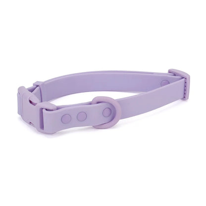 Collier pour chien en PVC lilas avec boucle clip plastique et anneau rond sur fond blanc.