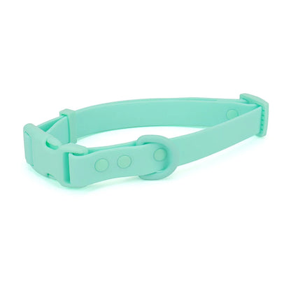 Collier pour chien en PVC vert pastel avec boucle clip plastique et anneau rond sur fond blanc.