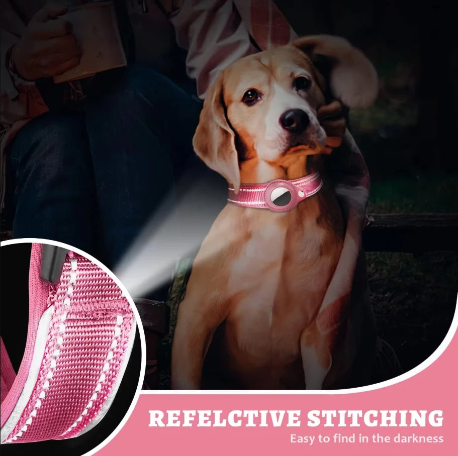 Chien portant un collier rose compatible AirTag avec coutures réfléchissantes visibles dans l’obscurité.