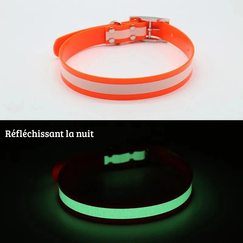 Comparatif jour et nuit d’un collier pour chien orange avec bande lumineuse phosphorescente.