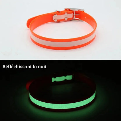 Comparatif jour et nuit d’un collier pour chien orange avec bande lumineuse phosphorescente.