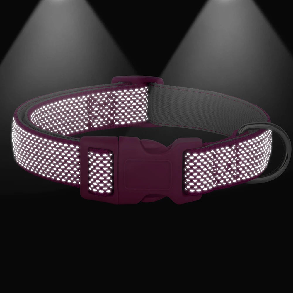 Collier rose pour chien avec surface réfléchissante visible sur fond noir.