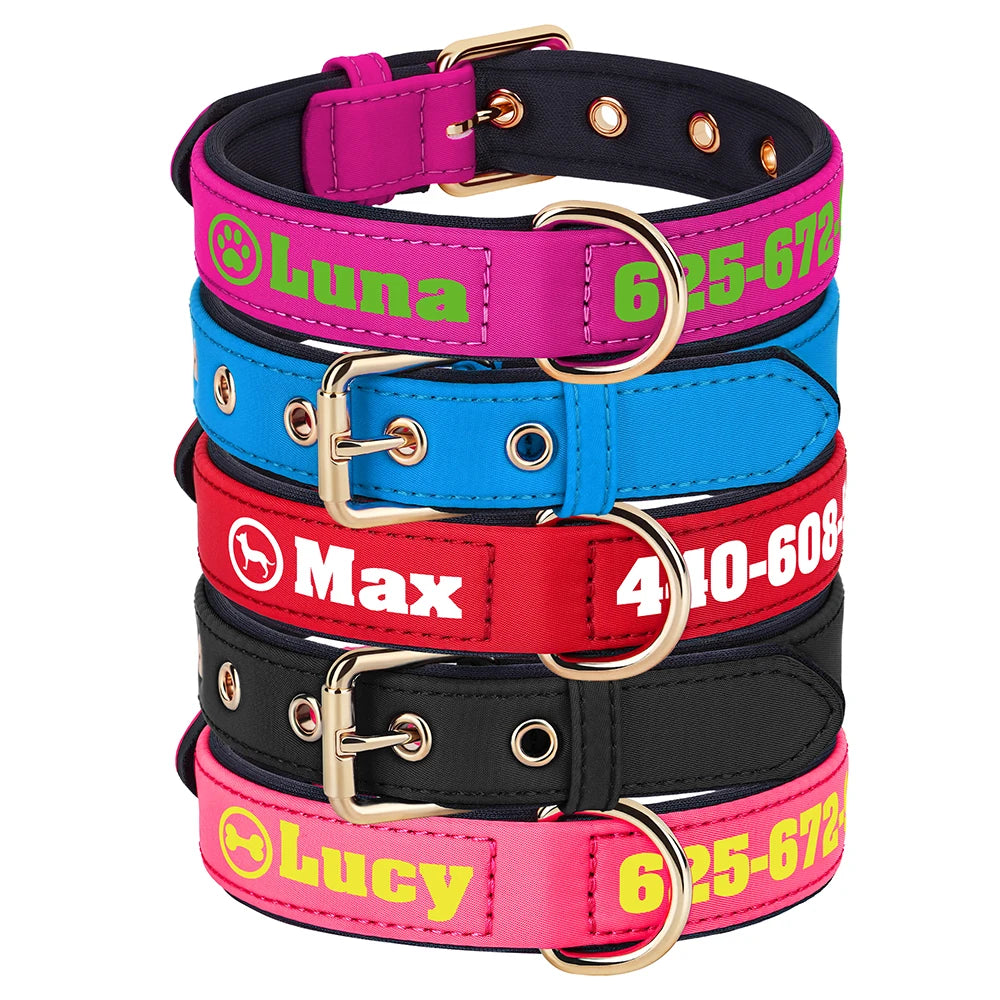 Colliers pour chien colorés empilés montrant la personnalisation imprimée sur une large bande extérieure.