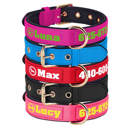 Colliers pour chien colorés empilés montrant la personnalisation imprimée sur une large bande extérieure.