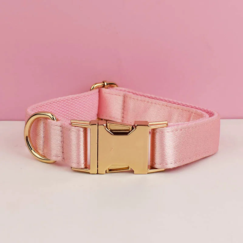 Collier rose pour chien avec boucle métal dorée gravée devant un fond gris et blanc.
