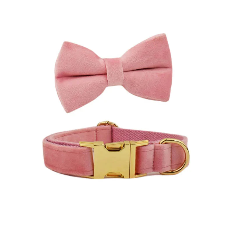 Collier rose pour chien en velours avec nœud papillon assorti sur fond blanc.