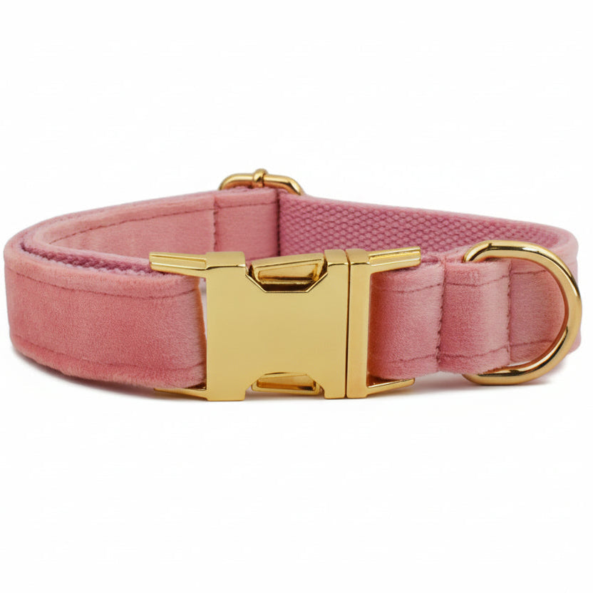 Collier rose pour chien en velours avec bouclerie dorée.