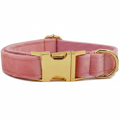 Collier rose pour chien en velours avec bouclerie dorée.