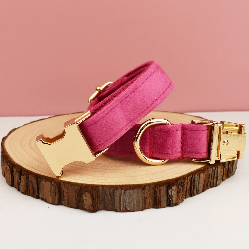 Collier rose fuchsia pour chien en velours avec bouclerie dorée enroulé et présenté sur un support en bois.