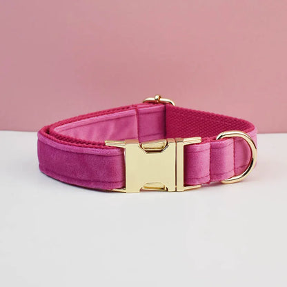 Collier rose fuschia pour chien en velours avec bouclerie dorée.