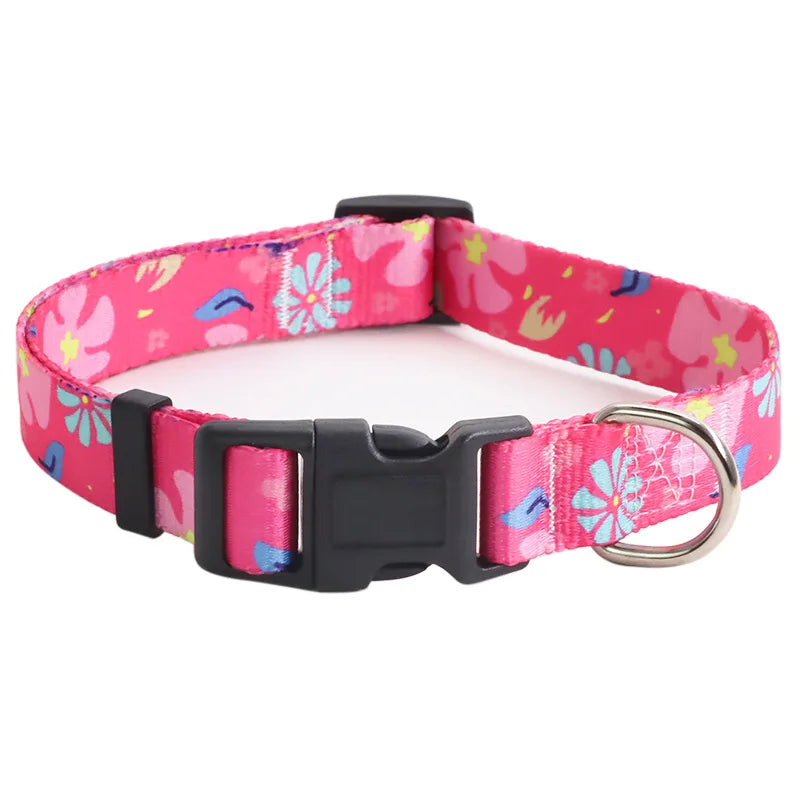 Collier pour chien en nylon rose avec motifs fleurs multicolores et mousqueton métal argenté sur fond clair.