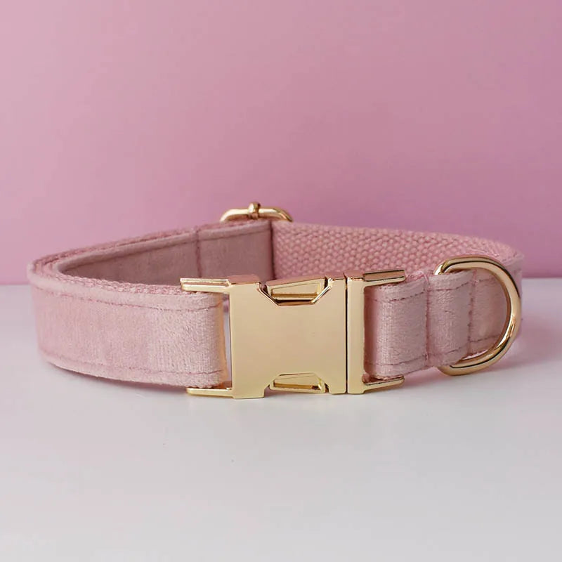 Collier rose pâle pour chien en velours avec bouclerie dorée.