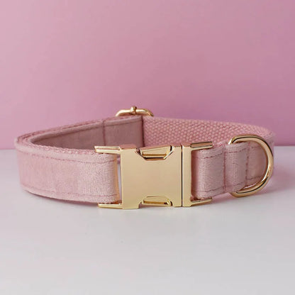 Collier rose pâle pour chien en velours avec bouclerie dorée.