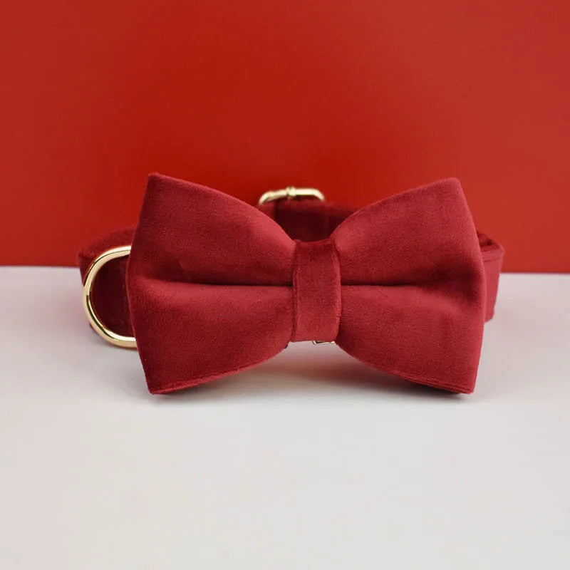 Collier rouge pour chien en velours avec nœud papillon assorti.