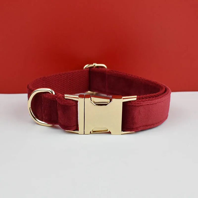 Collier rouge pour chien en velours avec bouclerie dorée.