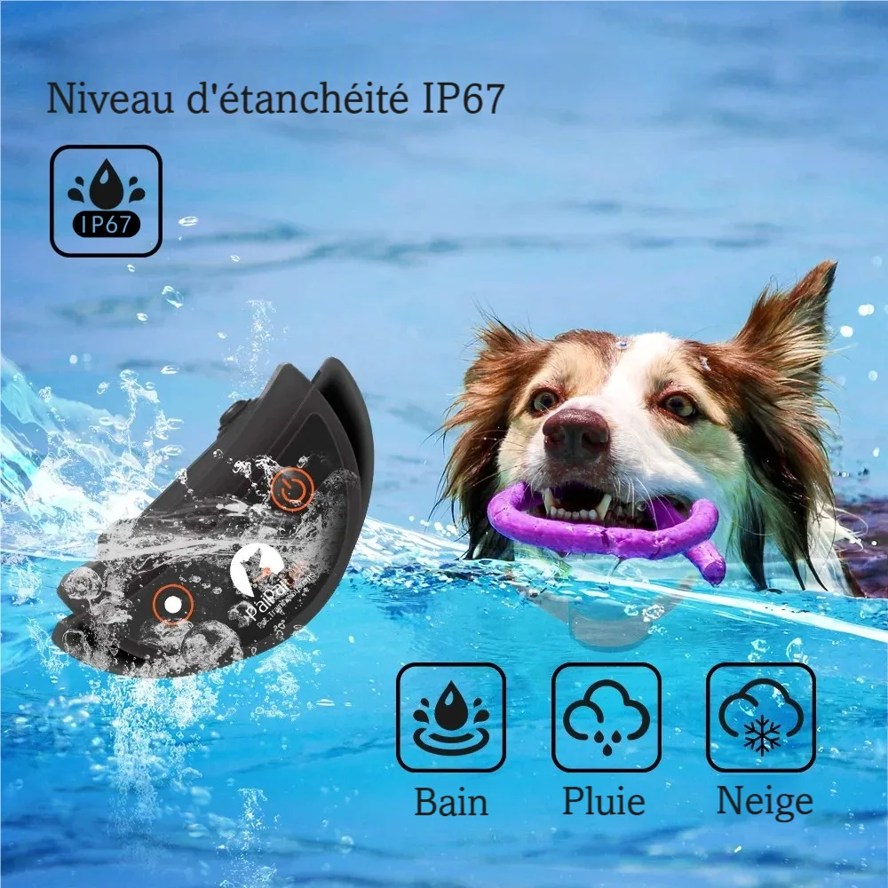 Illustration du collier waterproof utilisable pour pluie, bain et neige à côté d'un chien qui nage.