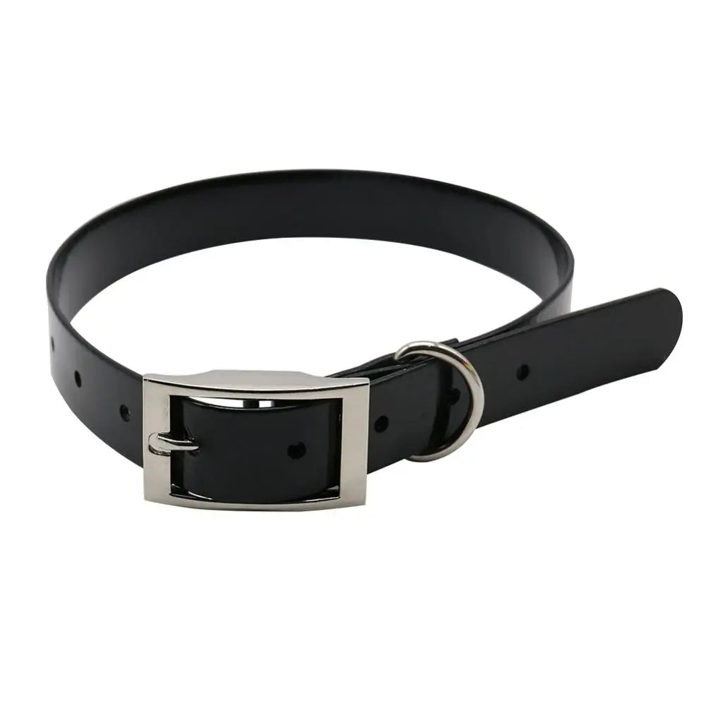 Collier pour chien en TPU imperméable noir avec boucle en métal réglable sur fond blanc.