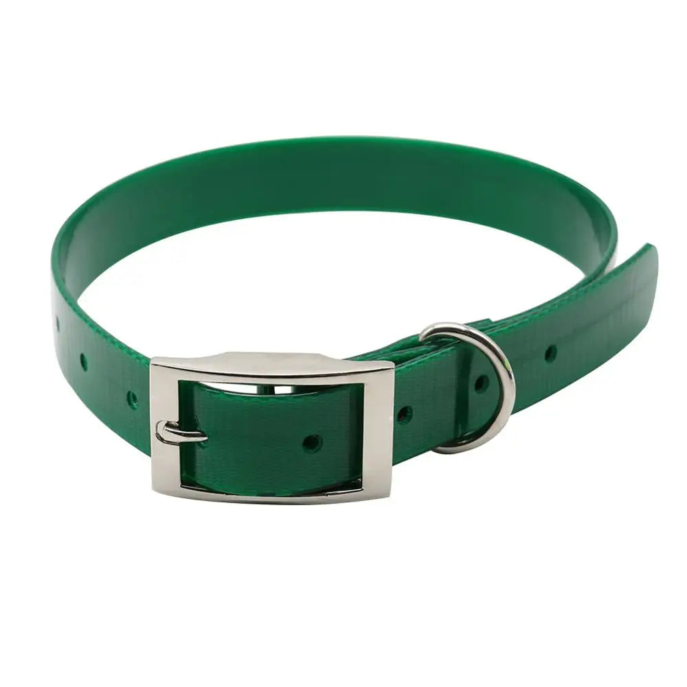 Collier pour chien en TPU imperméable vert foncé avec boucle en métal sur fond. blanc.