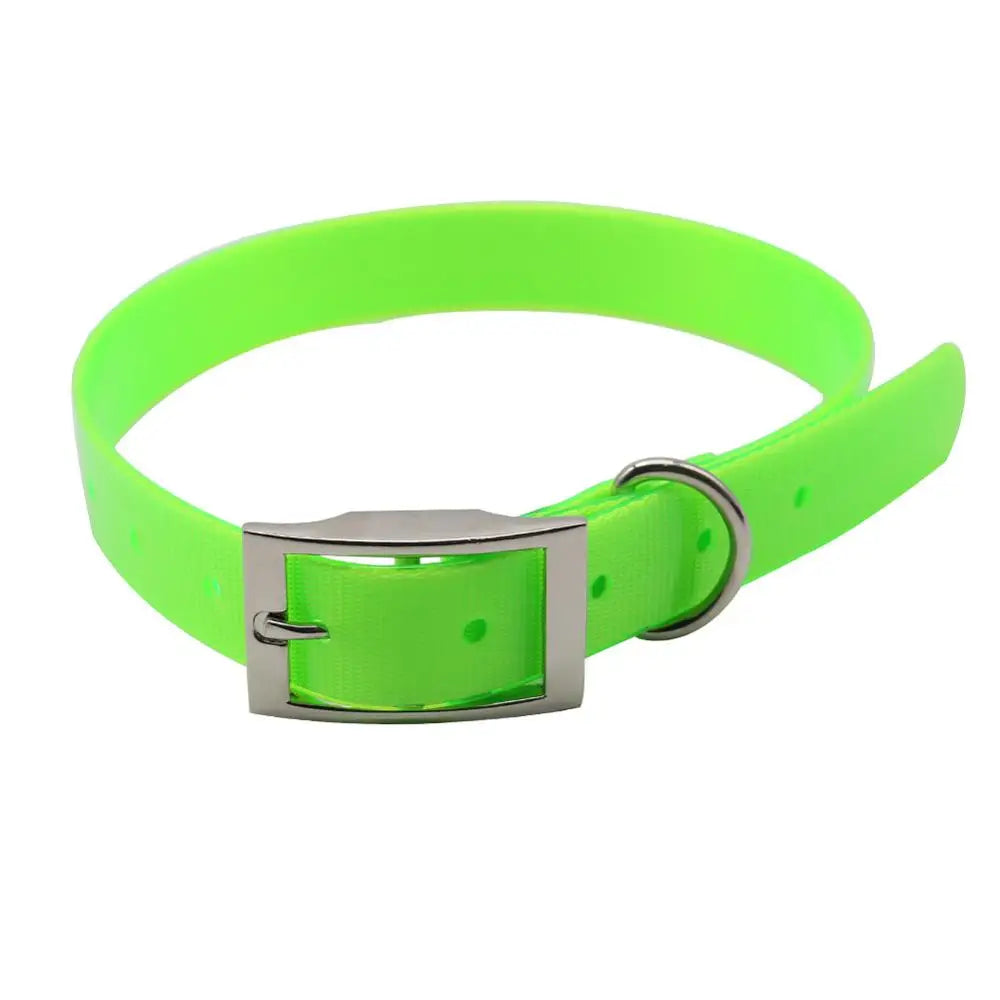 Collier pour chien en TPU imperméable vert néon avec boucle en métal réglable sur fond blanc.