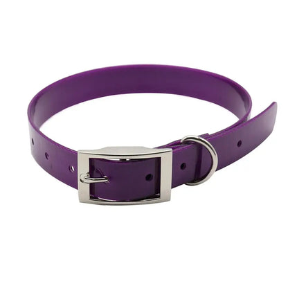 Collier pour chien en TPU imperméable violet avec boucle en métal sur fond blanc.