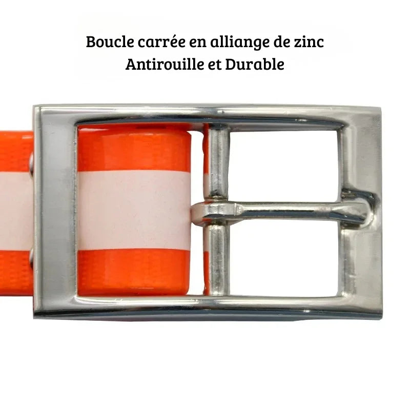 Vue rapprochée d’un collier pour chien haute visibilité orange avec boucle métallique carrée.