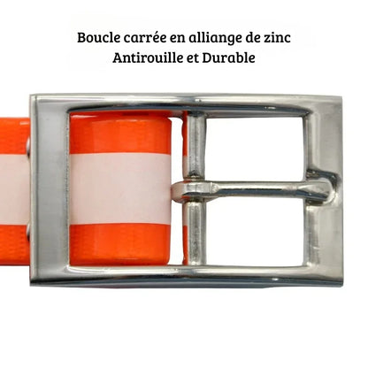 Vue rapprochée d’un collier pour chien haute visibilité orange avec boucle métallique carrée.