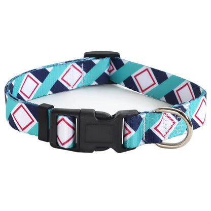 Collier pour chien en nylon turquoise avec motifs losanges blancs et roses et mousqueton métal argenté sur fond clair.