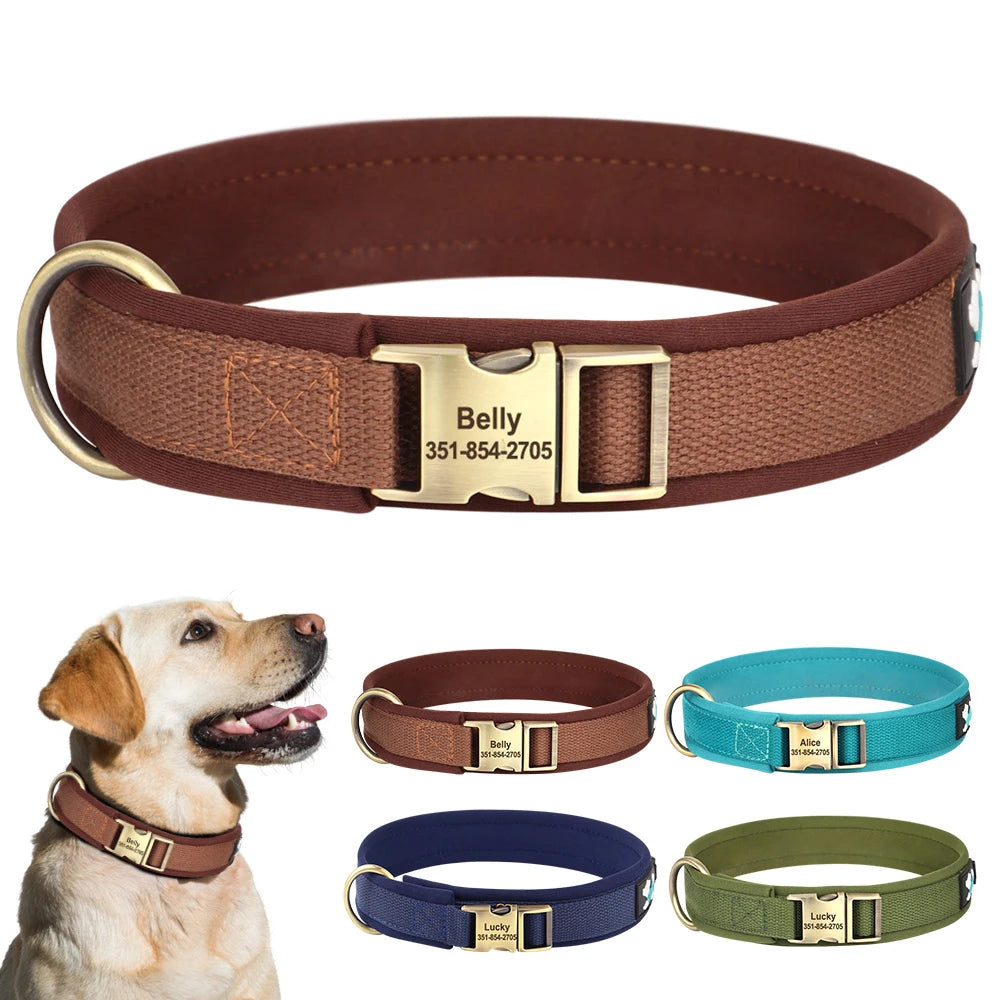 Variantes de coloris du collier personnalisé pour chien en nylon rembourré avec vue portée.