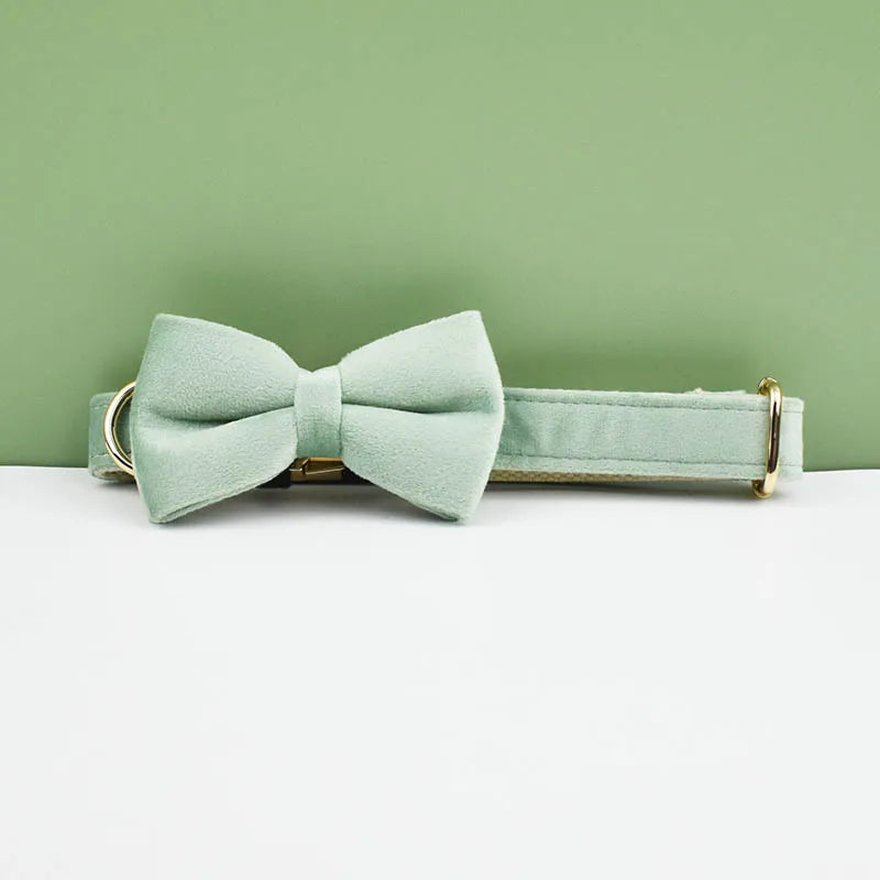Collier chien élégant en velours vert clair avec nœud papillon assorti.