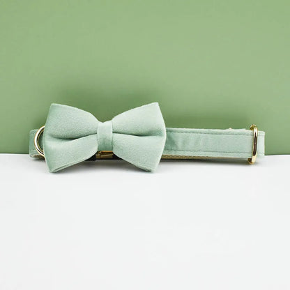 Collier chien élégant en velours vert clair avec nœud papillon assorti.