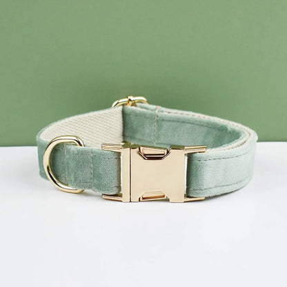 Collier vert clair pour chien en velours avec nœud papillon et gravure.