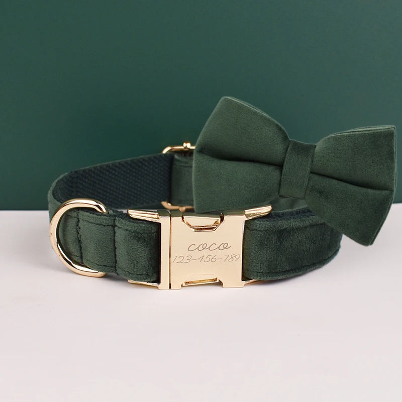 Collier chien élégant en velours vert foncé 2 avec nœud papillon assorti.