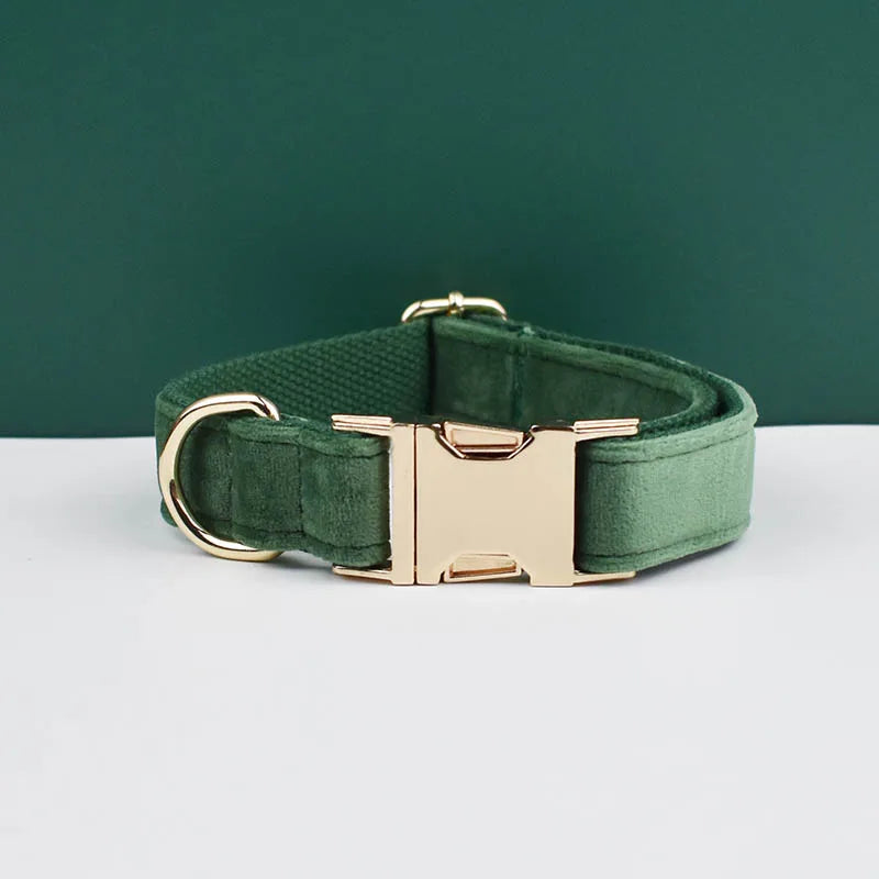 Collier vert foncé 2 pour chien en velours avec nœud papillon et gravure.
