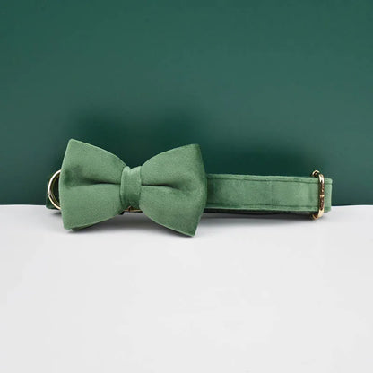 Collier chien élégant en velours vert foncé avec nœud papillon assorti.