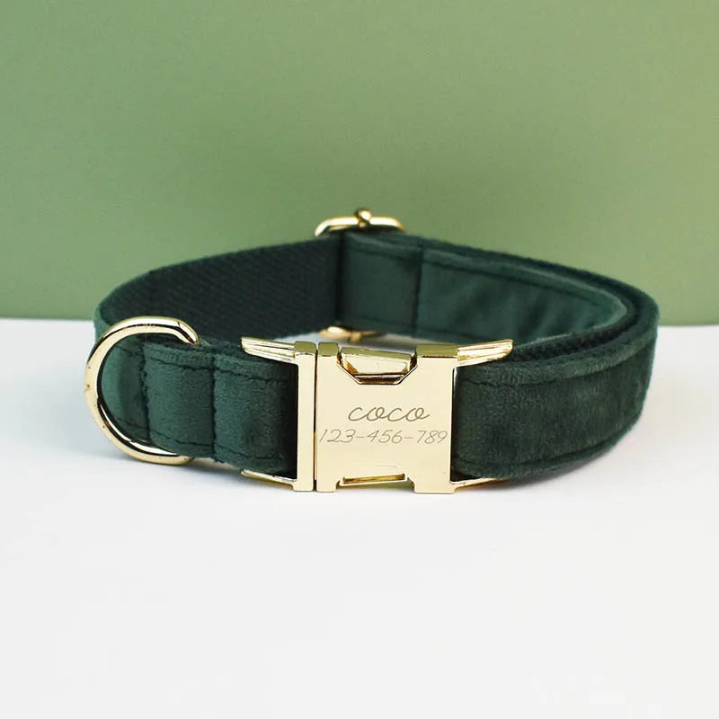 Collier vert foncé pour chien en velours avec nœud papillon et gravure.