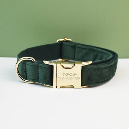 Collier vert foncé pour chien en velours avec nœud papillon et gravure.