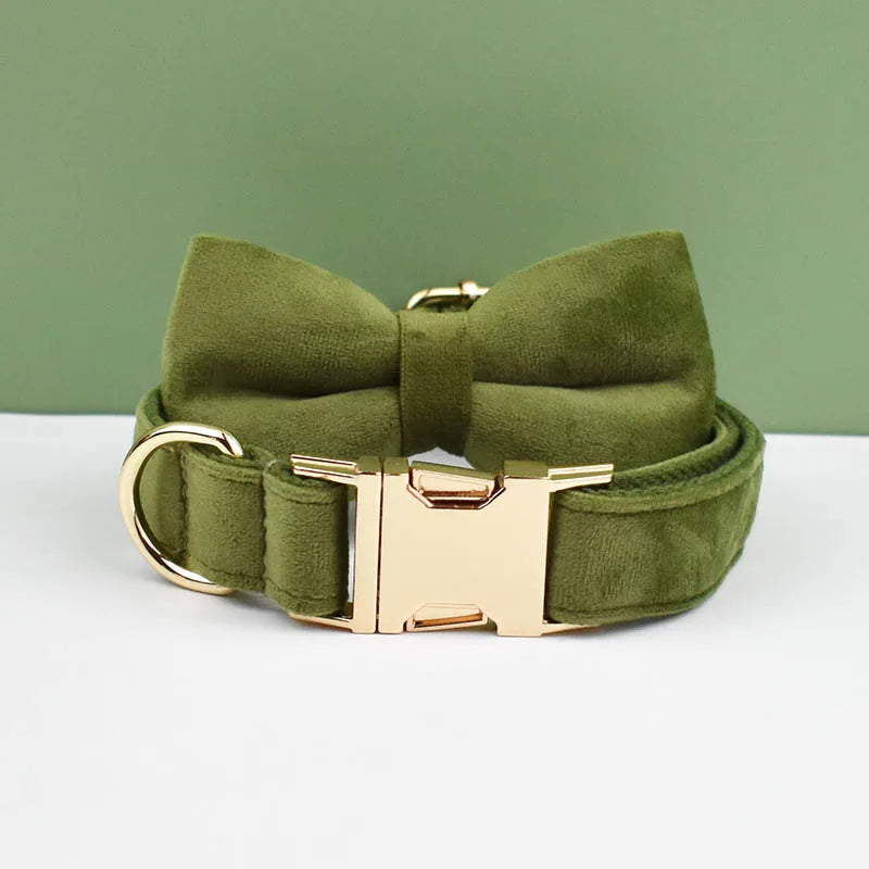Collier chien élégant en velours vert kaki avec nœud papillon assorti.