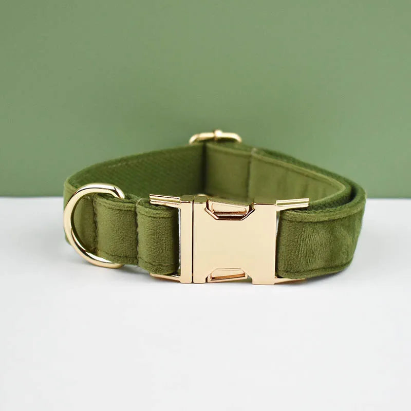 Collier vert kaki pour chien en velours avec nœud papillon et gravure.