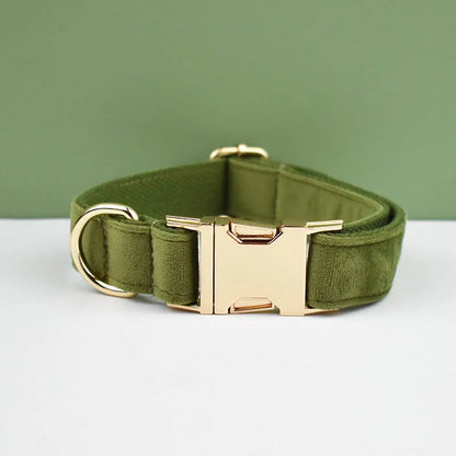 Collier vert kaki pour chien en velours avec nœud papillon et gravure.