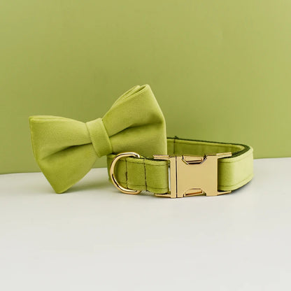 Collier chien élégant en velours vert olive avec nœud papillon assorti.